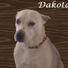 Dakota ..2015